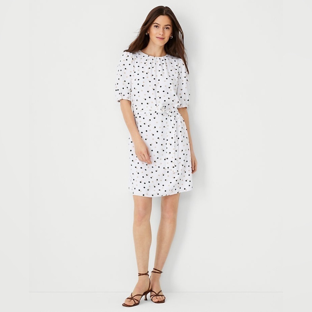 Ann Taylor Dotted Belted Shirred Shift Dress Small